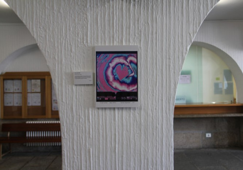 Exposición doARTE (16)