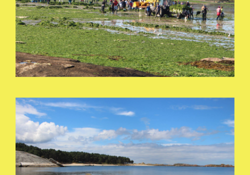 15 – O mar – Mini