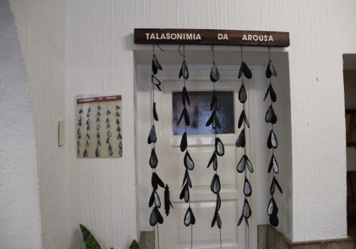 onlineimageresize_com_IMG_9651
