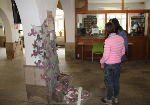 onlineimageresize_com_IMG_9702