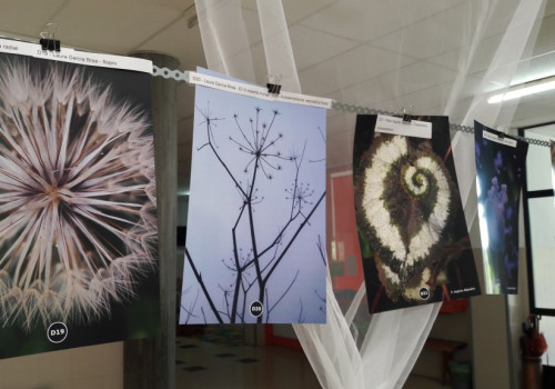 Matematicarte no CEIP (29)