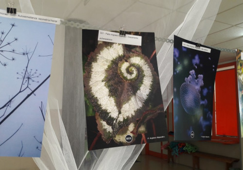 Matematicarte no CEIP (30)