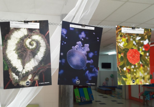 Matematicarte no CEIP (31)