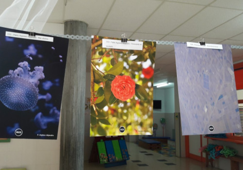Matematicarte no CEIP (32)