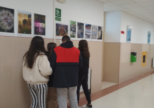 947613_matematicarte3