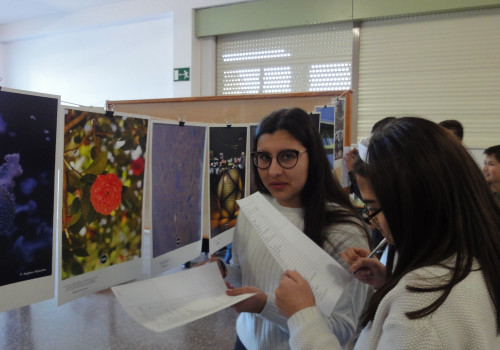 IES Espinheira de Boiro (5)