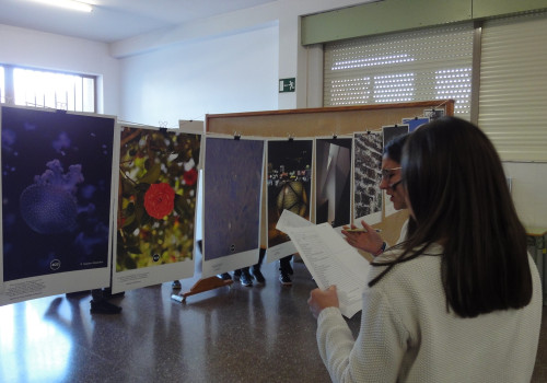 IES Espinheira de Boiro (6)