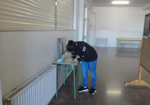 IES Espinheira de Boiro (8)