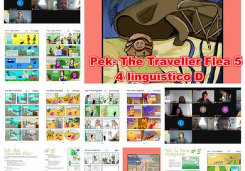 Pek5 TS (15)