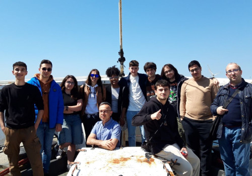 Viana-2024-12b