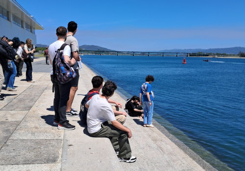viana25-7