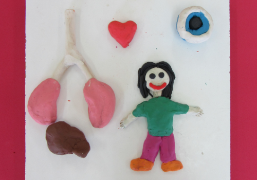 07ANenaSenOrganos_SabelaTorre_MartinaJueguen_OlallaOtero