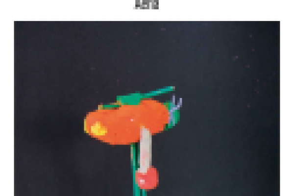 A viaxe da exposición doARTE