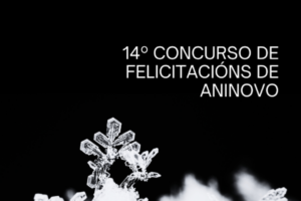 14º CONCURSO DE FELICITACIÓNS DE ANINOVO
