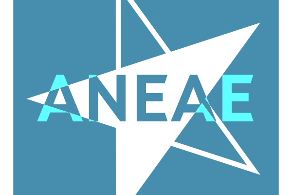 Guía: ANEAE en FP