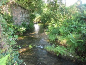 Rio Sarela, perto do seu nacemento